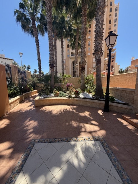 Private garden with palm trees