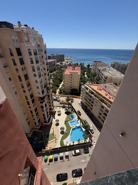 Aerial view of the communal pool and the sea